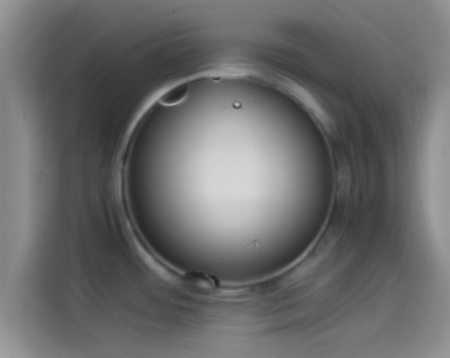X0000114111484200910131332