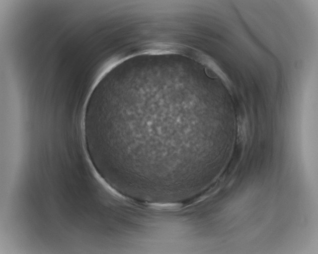 X0000114111487200910131332