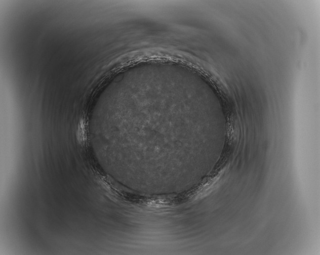 X0000114111490200910131332