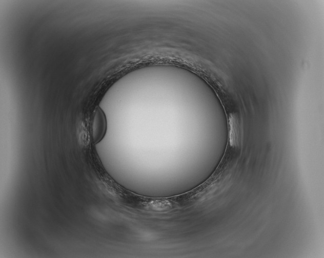 X0000114111491200910131332