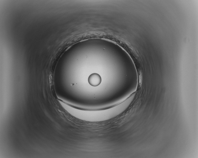 X0000114111492200910131332