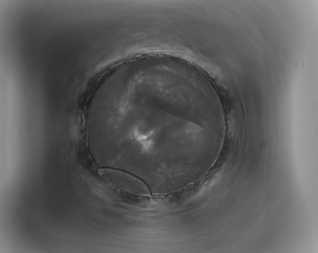 X0000114111494200910131332