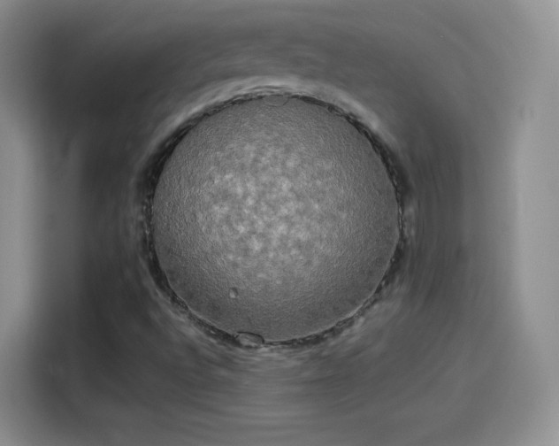 X0000114111496200910131332