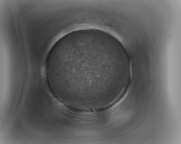 X0000114111501200910131332