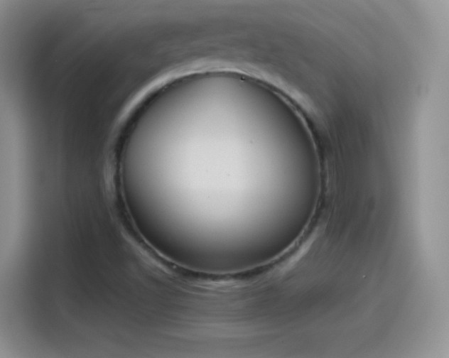 X0000114111502200910131332