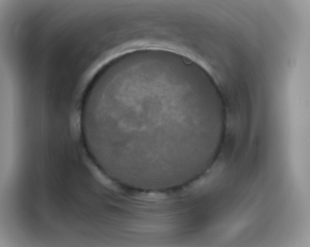 X0000114111503200910131332