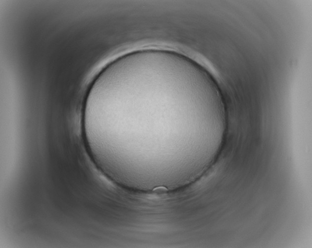 X0000114111504200910131332