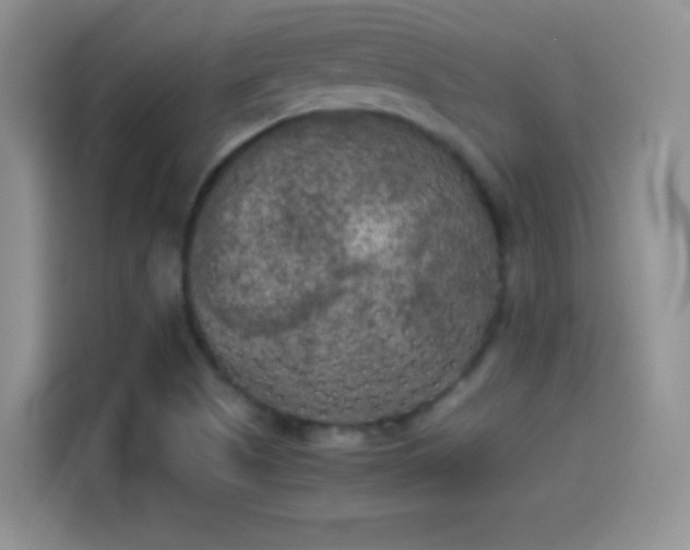 X0000114111505200910131332