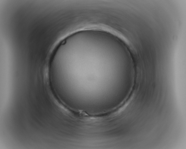 X0000114111506200910131332