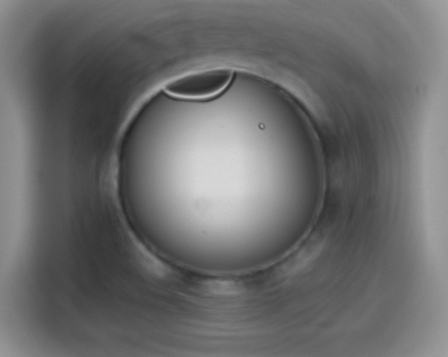X0000114111508200910131332