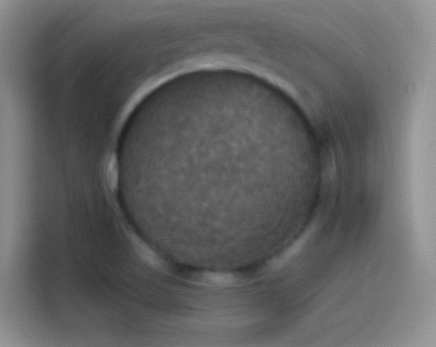 X0000114111509200910131332