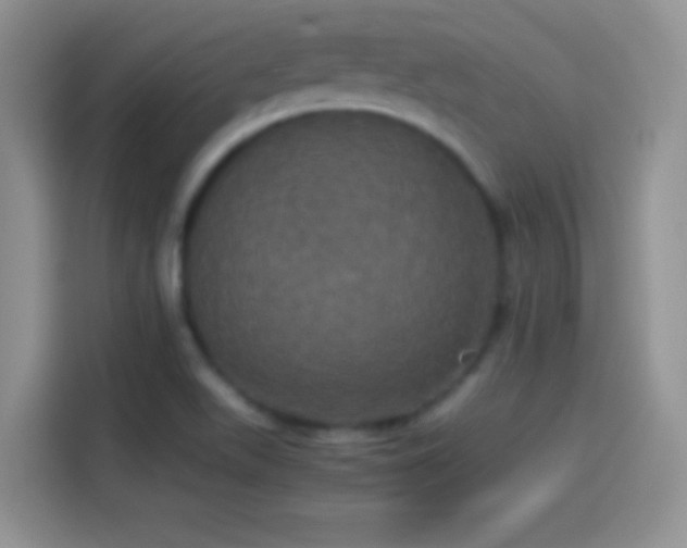 X0000114111511200910131332