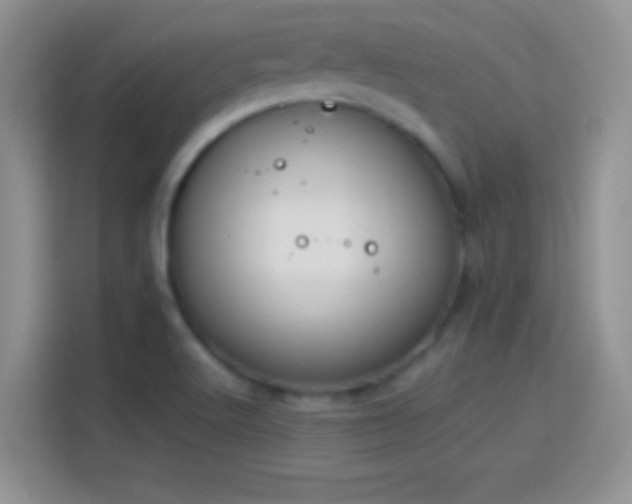 X0000114111512200910131332