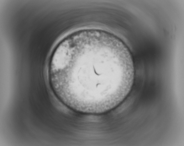 X0000114111514200910131332