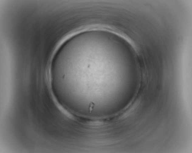 X0000114111515200910131332