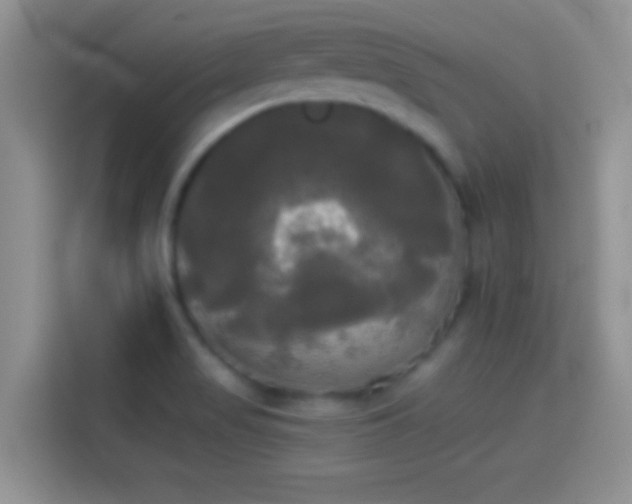 X0000114111517200910131332