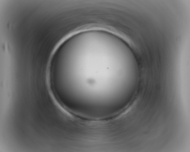 X0000114111518200910131332