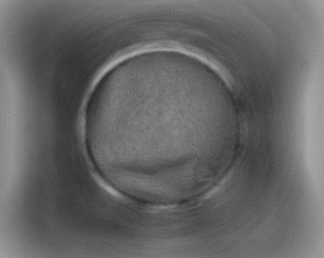 X0000114111519200910131332