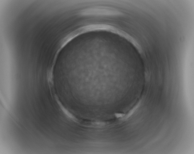 X0000114111521200910131332