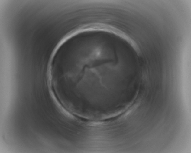 X0000114111522200910131332