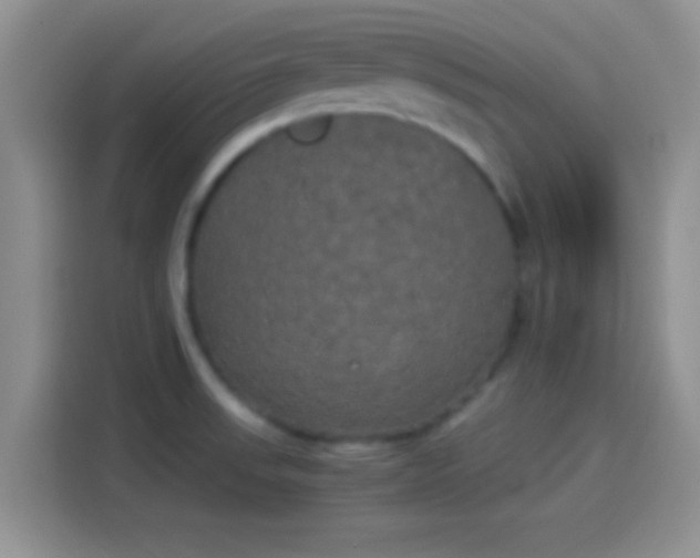 X0000114111523200910131332