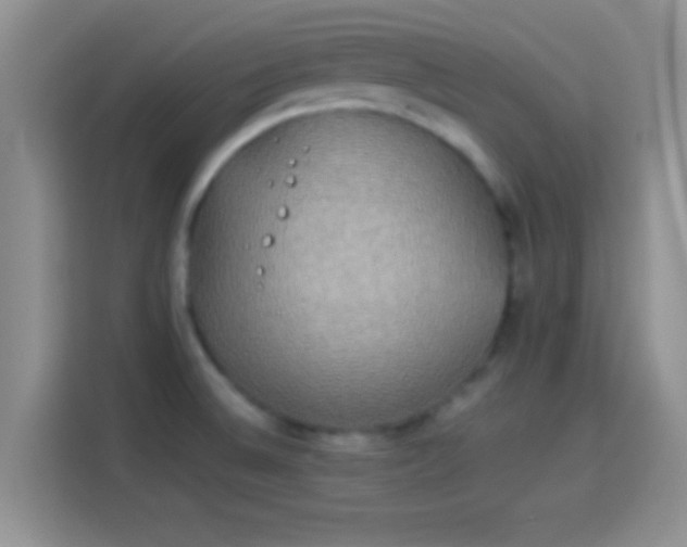 X0000114111524200910131332