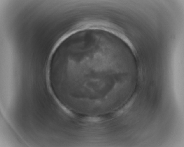 X0000114111525200910131332