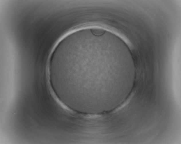 X0000114111526200910131332