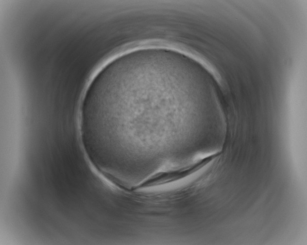 X0000114111527200910131332