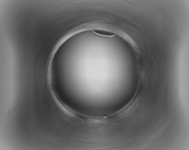 X0000114111528200910131332