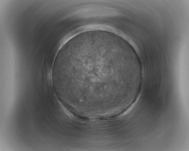 X0000114111529200910131332