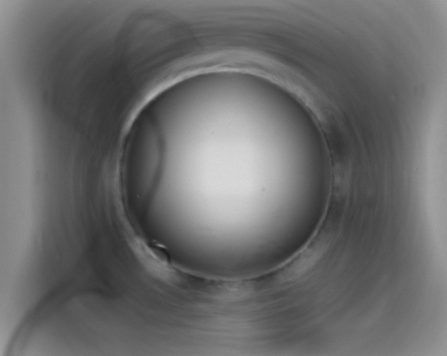X0000114111530200910131332