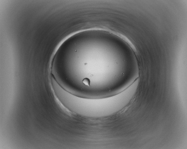 X0000114111532200910131332