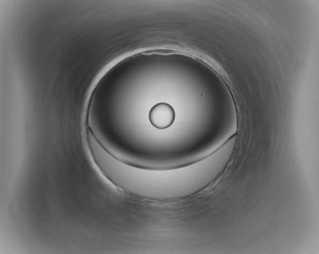 X0000114111536200910131332