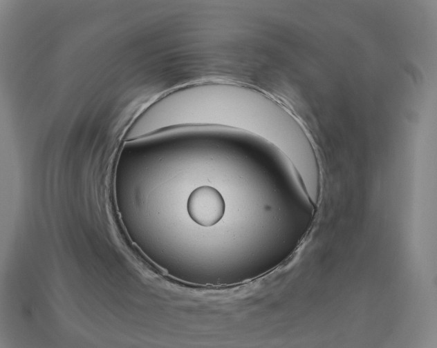 X0000114110001200910191712