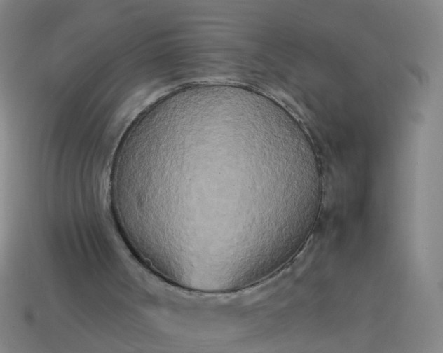 X0000114110002200910191712