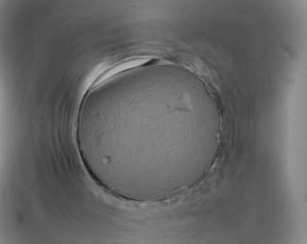 X0000114110003200910191712