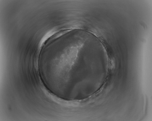 X0000114110004200910191712