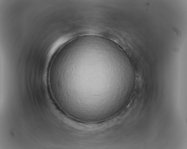 X0000114110006200910191712