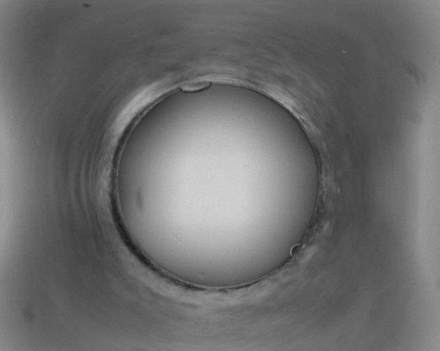 X0000114110007200910191712