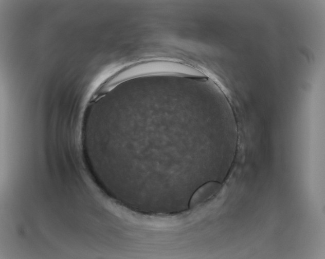 X0000114110008200910191712