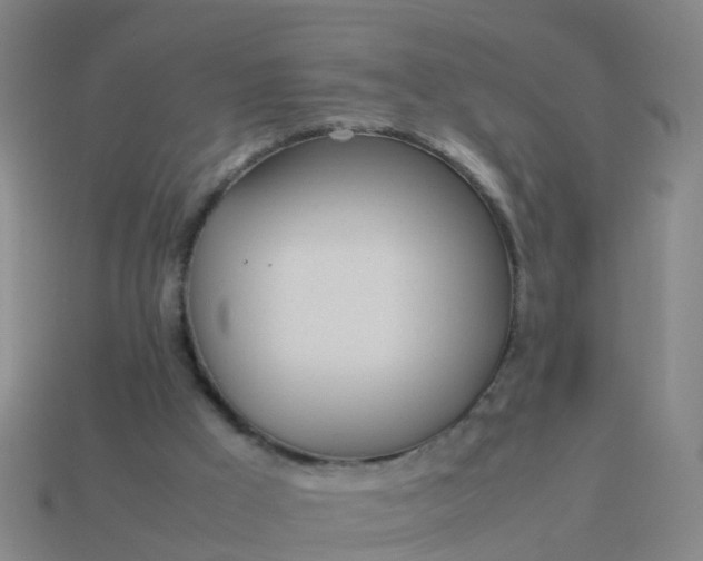 X0000114110009200910191712