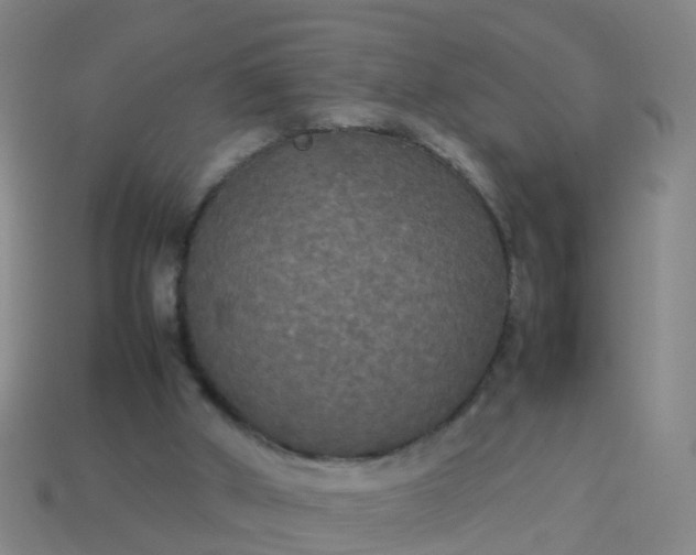 X0000114110010200910191712