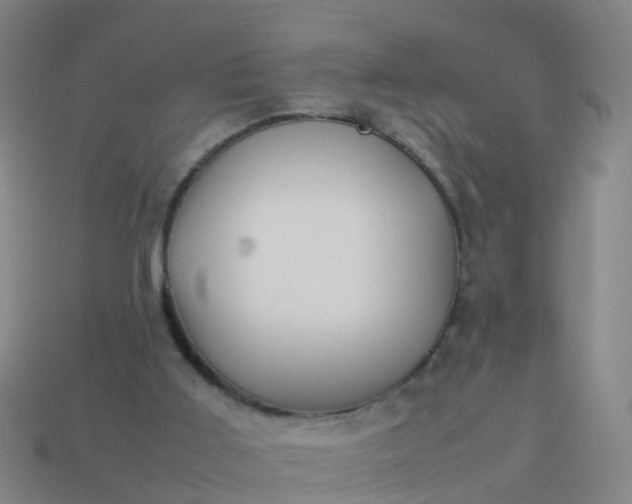 X0000114110011200910191712