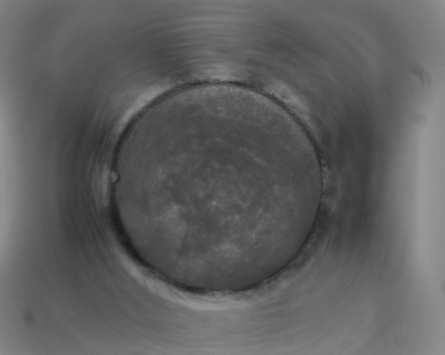 X0000114110012200910191712