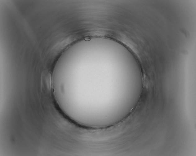 X0000114110013200910191712