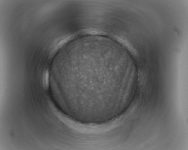 X0000114110014200910191712