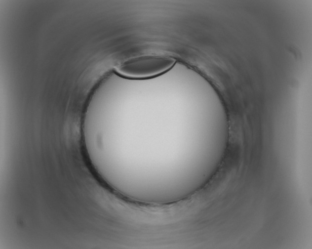 X0000114110015200910191712