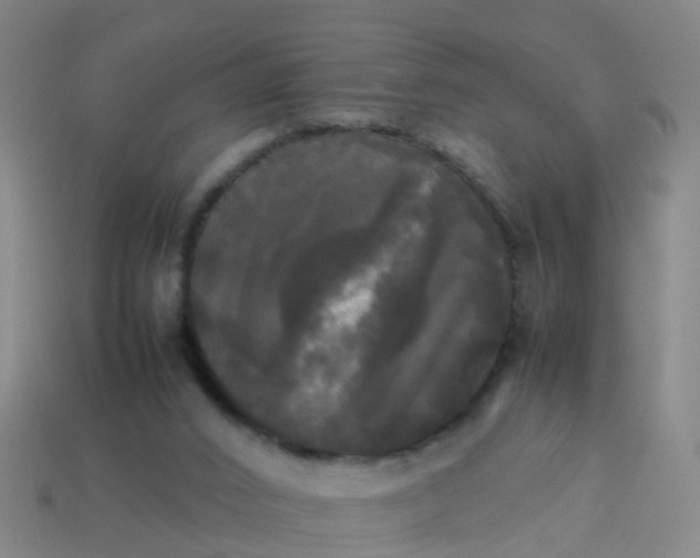 X0000114110016200910191712