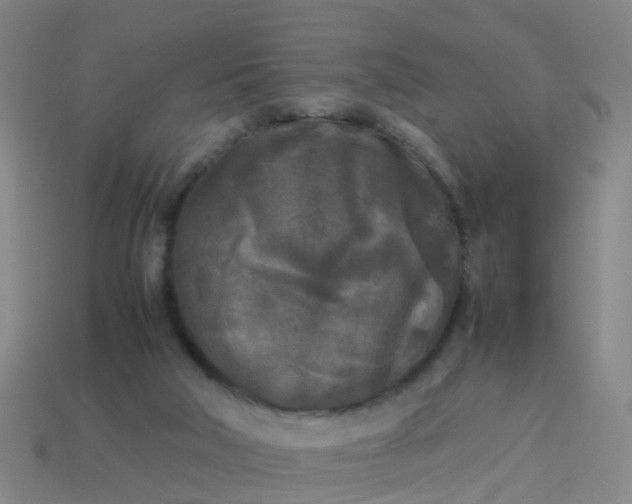 X0000114110018200910191712